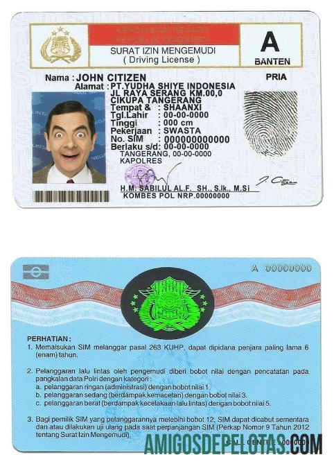 Carteira de motorista da Indonésia amostra